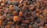 1sundried-raisins